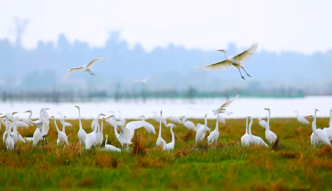 海南最美海湾石梅湾,海南最美的8大海湾