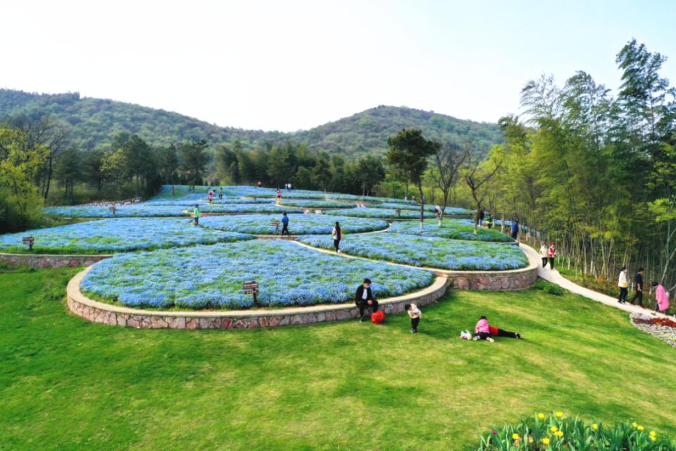 五一不能错过的花海,五一不能错过的美丽花海