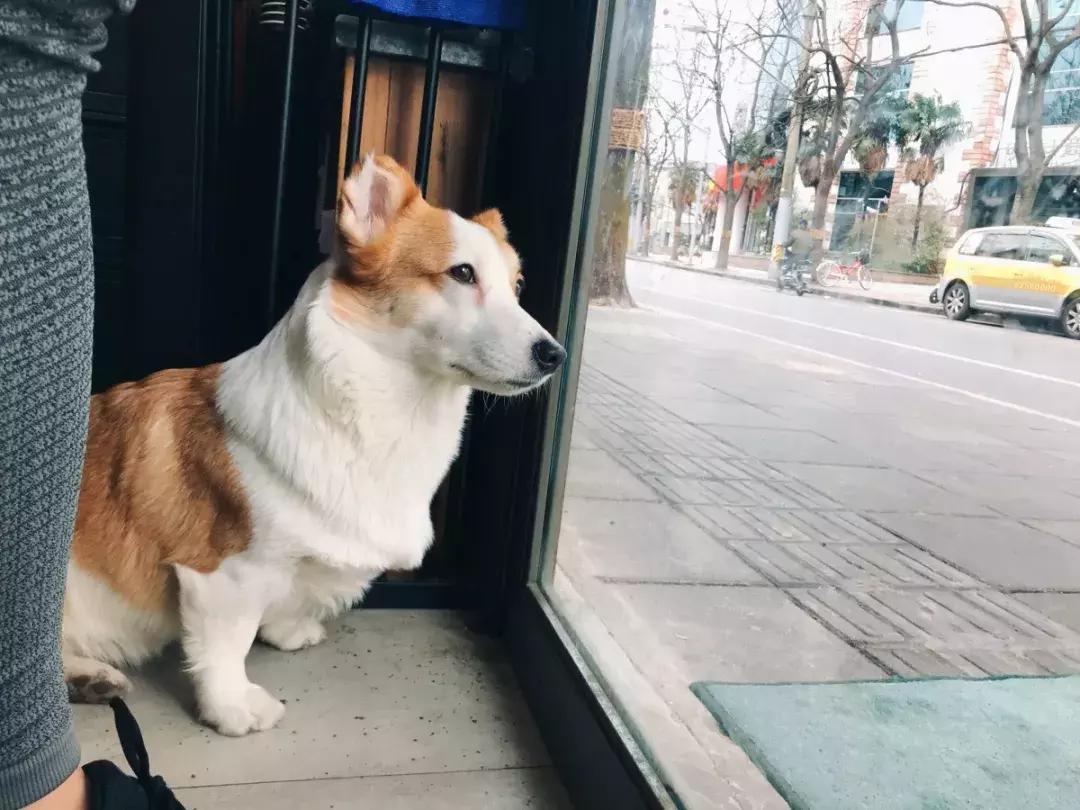 看完不想上班,让人看着就不想做的工作