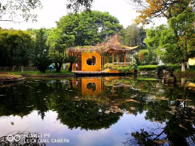 华为mate20这几个超棒的小功能,华为mate20的十大功能