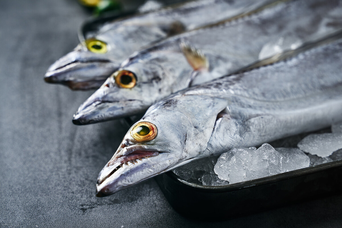 买带鱼时,记住选择“三小一厚”,条条细嫩鲜美,鱼腥味小