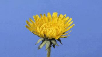 预防肛周脓肿和肛瘘喝什么好,肛周脓肿自行溃破怎么预防成肛瘘