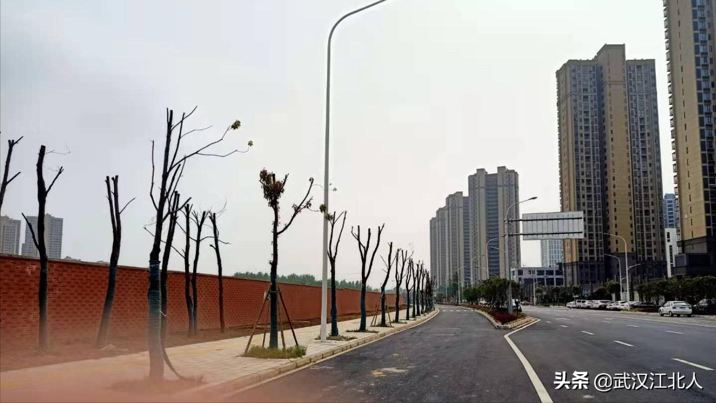 武汉盘龙城公园,盘龙城体育公园规划