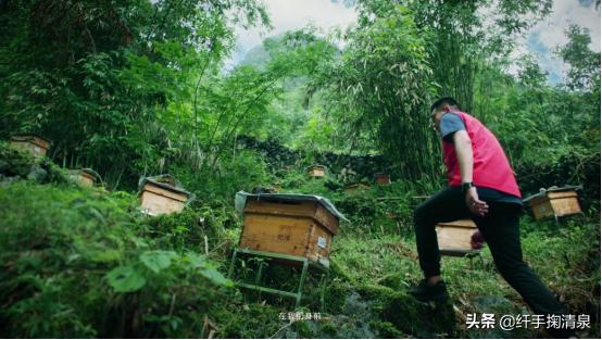 以舍得精神，敬大国辉煌！这几部励志影片，最有共鸣的是TA