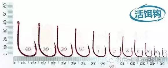 钓钩详细讲解图解大全,三钩钓鱼视频讲解