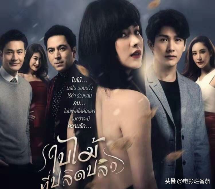 狗血变态电视剧,把狗血般的剧情演绎的淋漓尽致