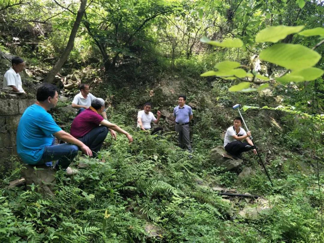 保康:大柳树下的“扶贫故事”