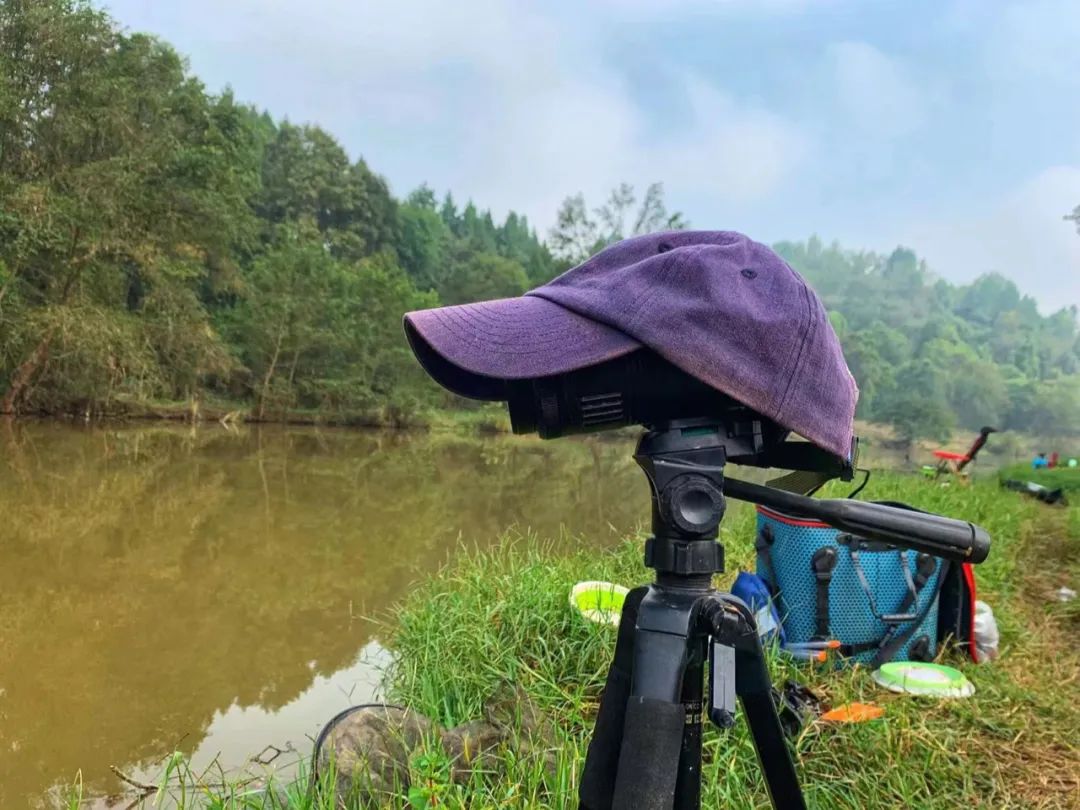 野奢不被鄙视?问问那些爱钓鱼的老孩子们,他们有活蹦乱跳的经验