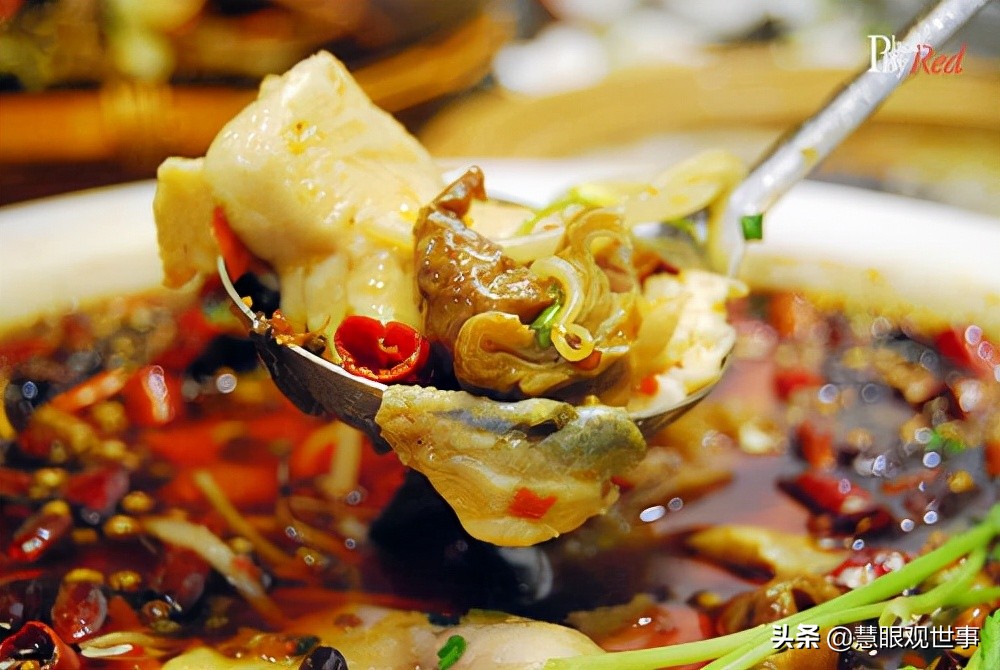 《侯海洋基层风云》中肥肠火锅鱼发生的故事