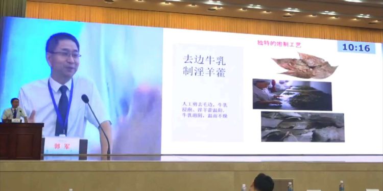 2023大健康论坛会议,热烈祝贺中医药大会召开