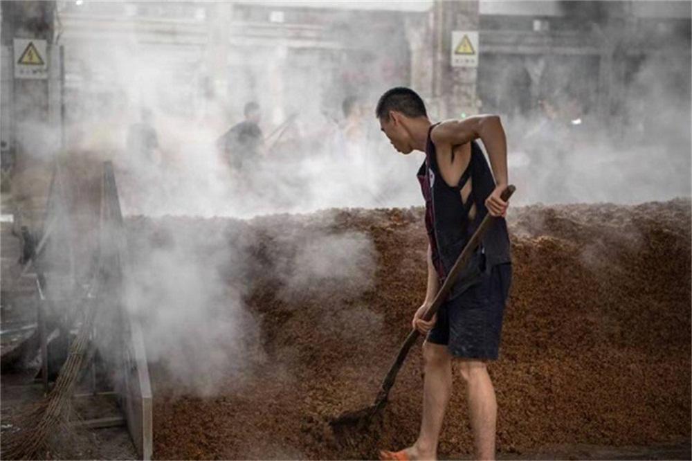 真全粮酿酒原理,真全粮酿酒怎么样
