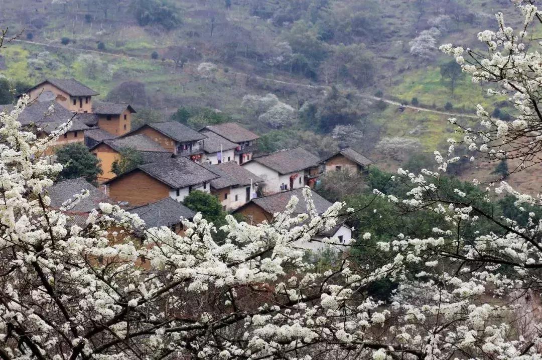 广西有座小城,广西的一座小县城