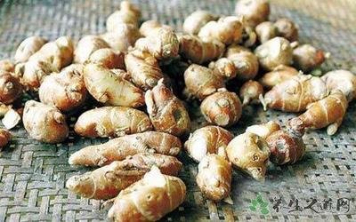 五种每天炒菜的佐料竟然是中药材,中药材哪些可以作为调料