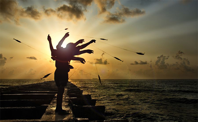 鳡鱼贵吗,现在鳡鱼多少价