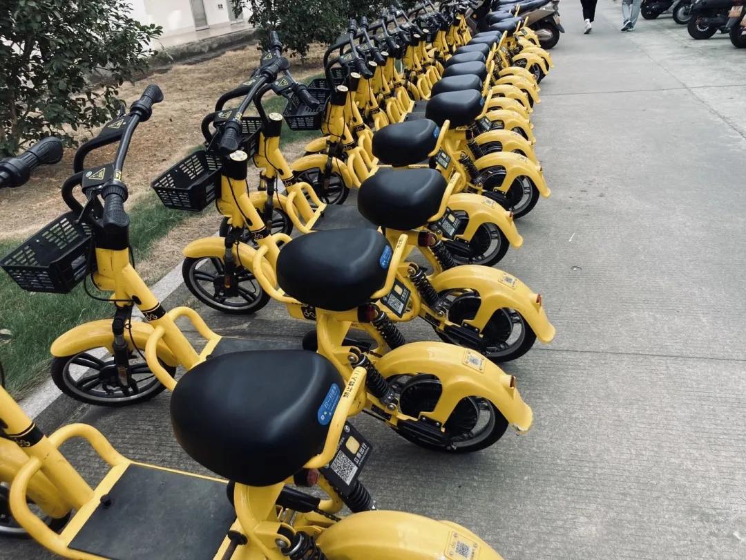 福建师大福清分校,师大福清分校