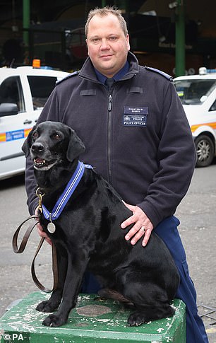 恐怖袭击里,7只警犬冷静战斗毫不畏惧,被授予官佐勋章