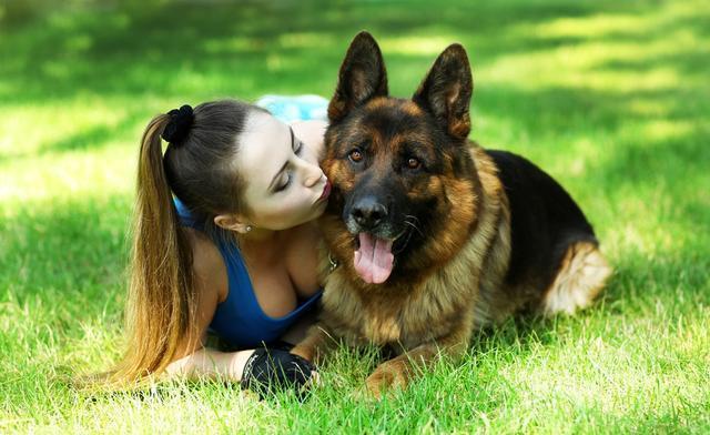 德国牧羊犬好不好养呀,德国牧羊犬好养不