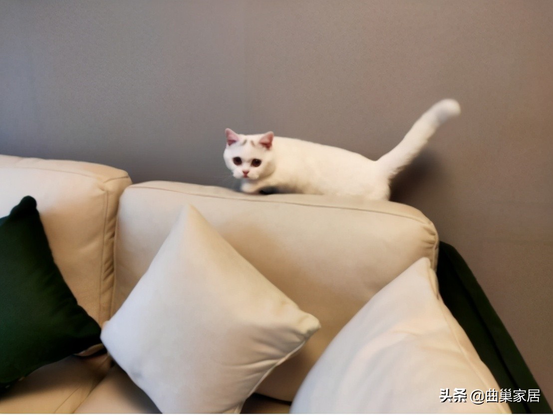 中年女人怎样选购沙发,实木沙发选购攻略视频