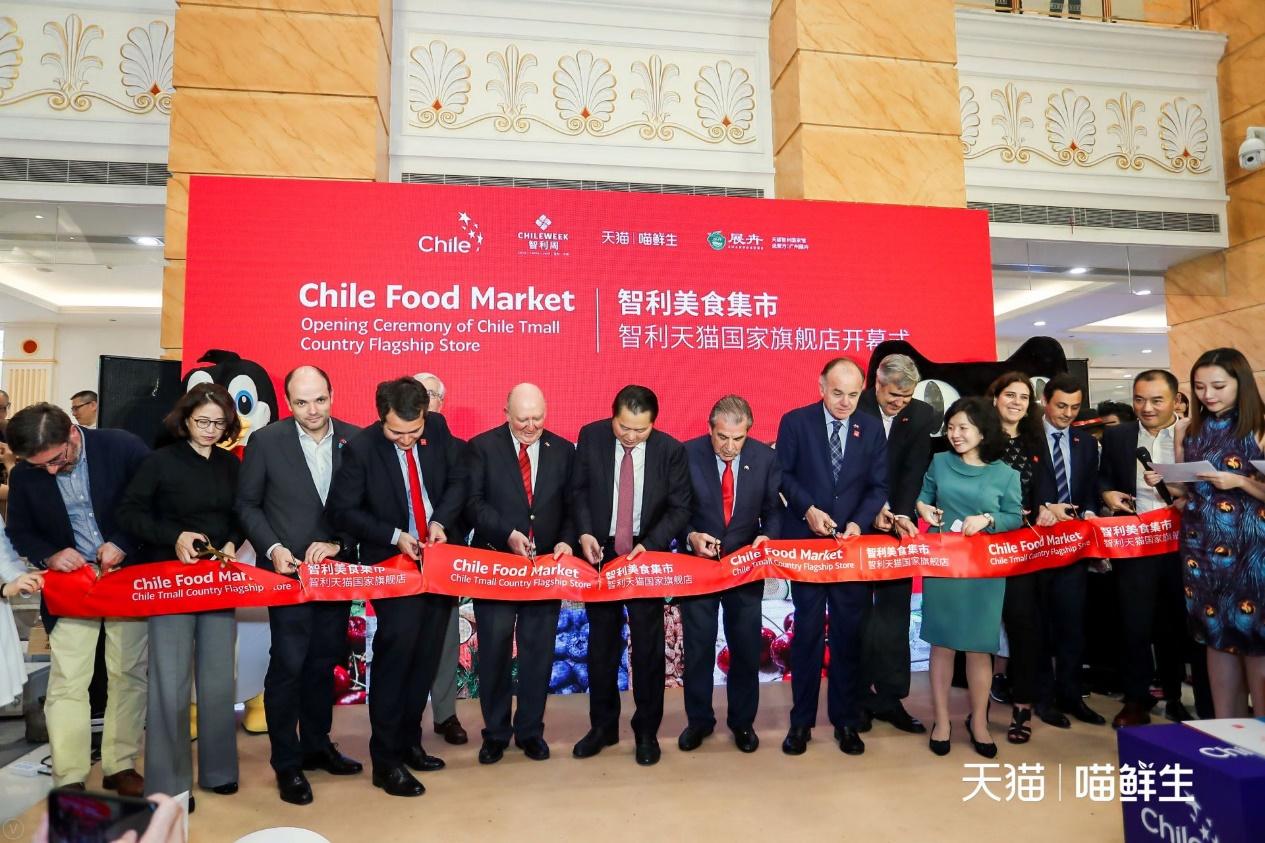 智利天猫国家旗舰店,智利天猫旗舰店