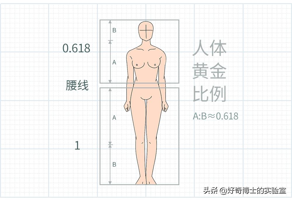 有哪些可以快速提升身材的小技巧,如何提升身材管理