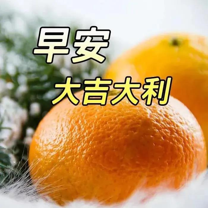 周一早安问候表情包,周末早上好表情包带字问候