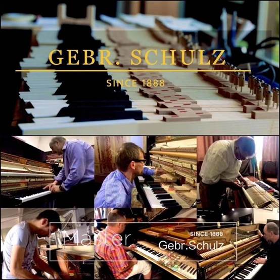 威廉斯坦伯格和斯坦伯格,斯坦伯格真假