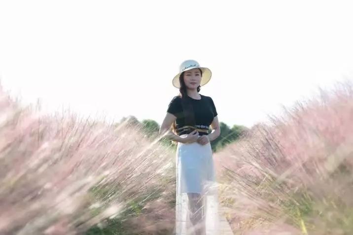 常熟网红基地花海,常熟网红粉黛花海