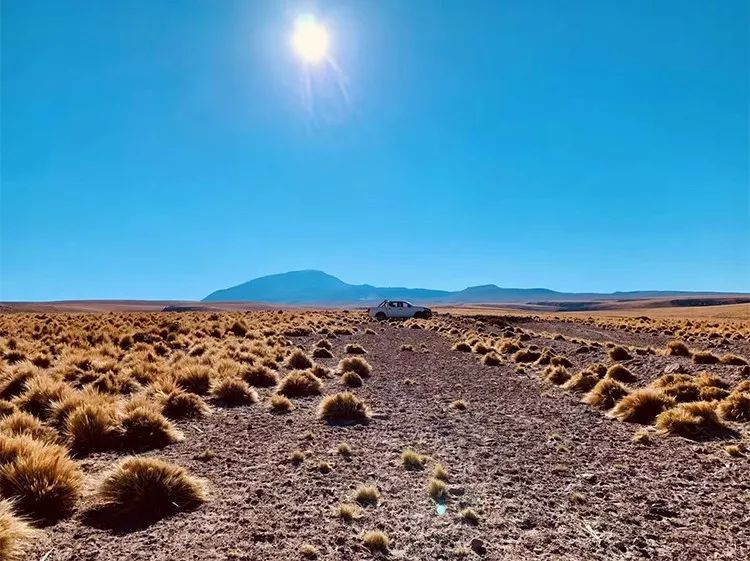 「东郊」5万人民币能干嘛？而我却能带你周游世界！