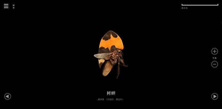 10大实用网站分享,实用性极强的网站有哪些