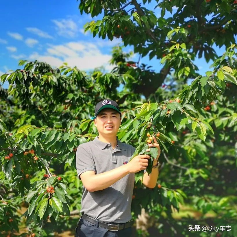 7天3000公里,宝马x57000公里发现烧机油