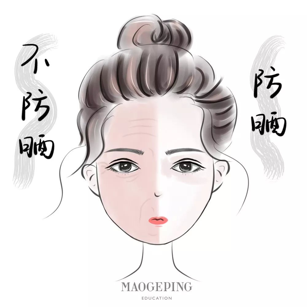 化妆使用气垫的正确步骤顺序,早上擦脸化妆的正确步骤顺序