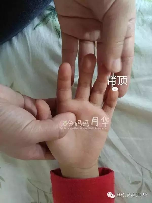 22个月的宝宝怎么补肾气,肾气足才能更年轻