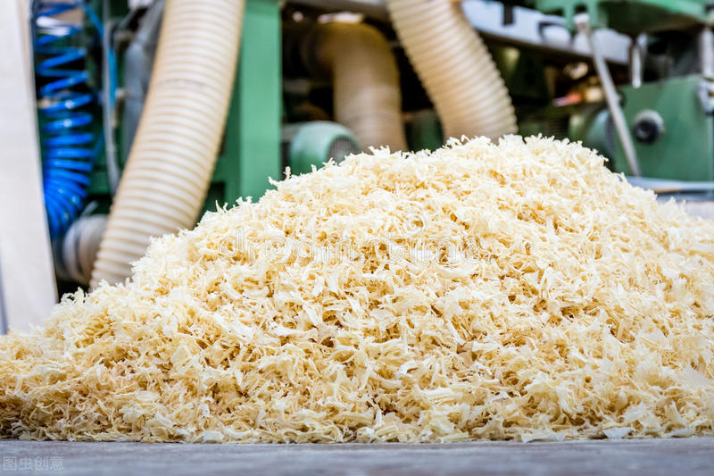 人工养殖鹦鹉注意事项,人工喂养小鹦鹉育雏