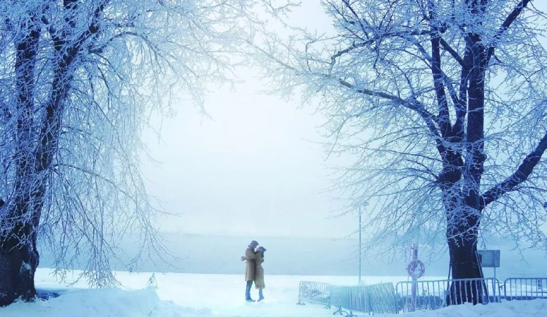 因为太美禁止拍照的小镇,世界上幸福指数爆棚的国家