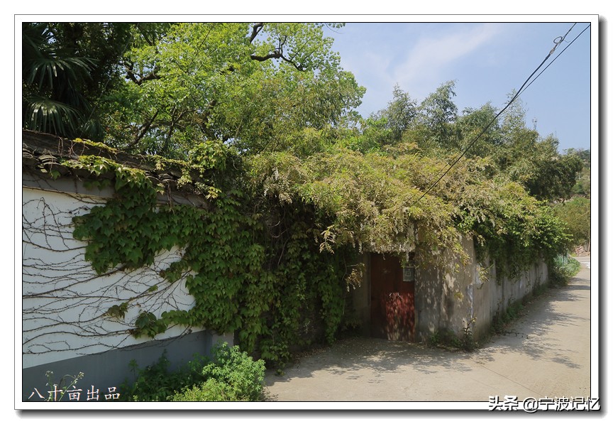 走访*片鸦**战争大宝山战役所在地——妙湾古村(宁波慈城)