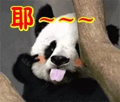 日本规定：不能舔手指翻纸！不知道的奇葩规定竟然这么多