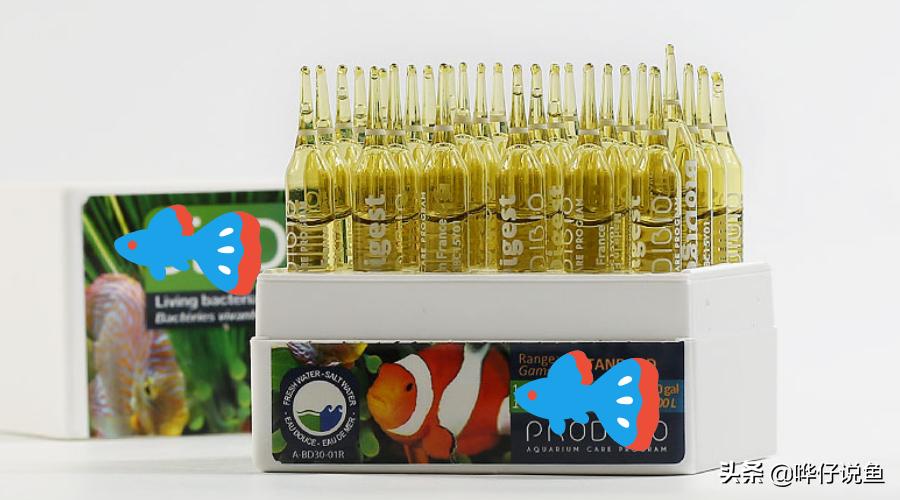 如何知道鱼缸硝化细菌已经培养好,怎么给鱼缸增加硝化细菌
