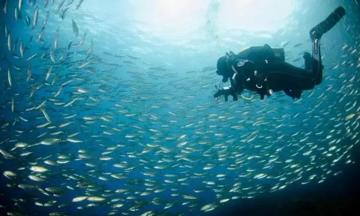 新西兰天堂paradise,新西兰旅游天堂