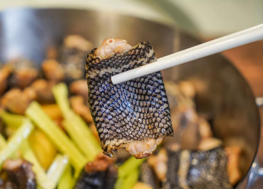 顺德老字号粤菜,精品粤菜顺德菜