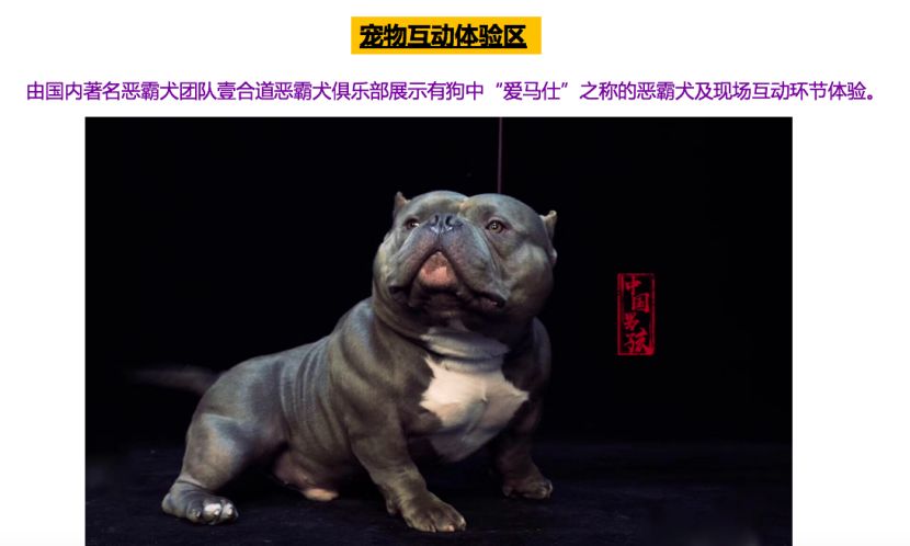 0鍏冩姠aj1,0鍏冩娊涓璦j1