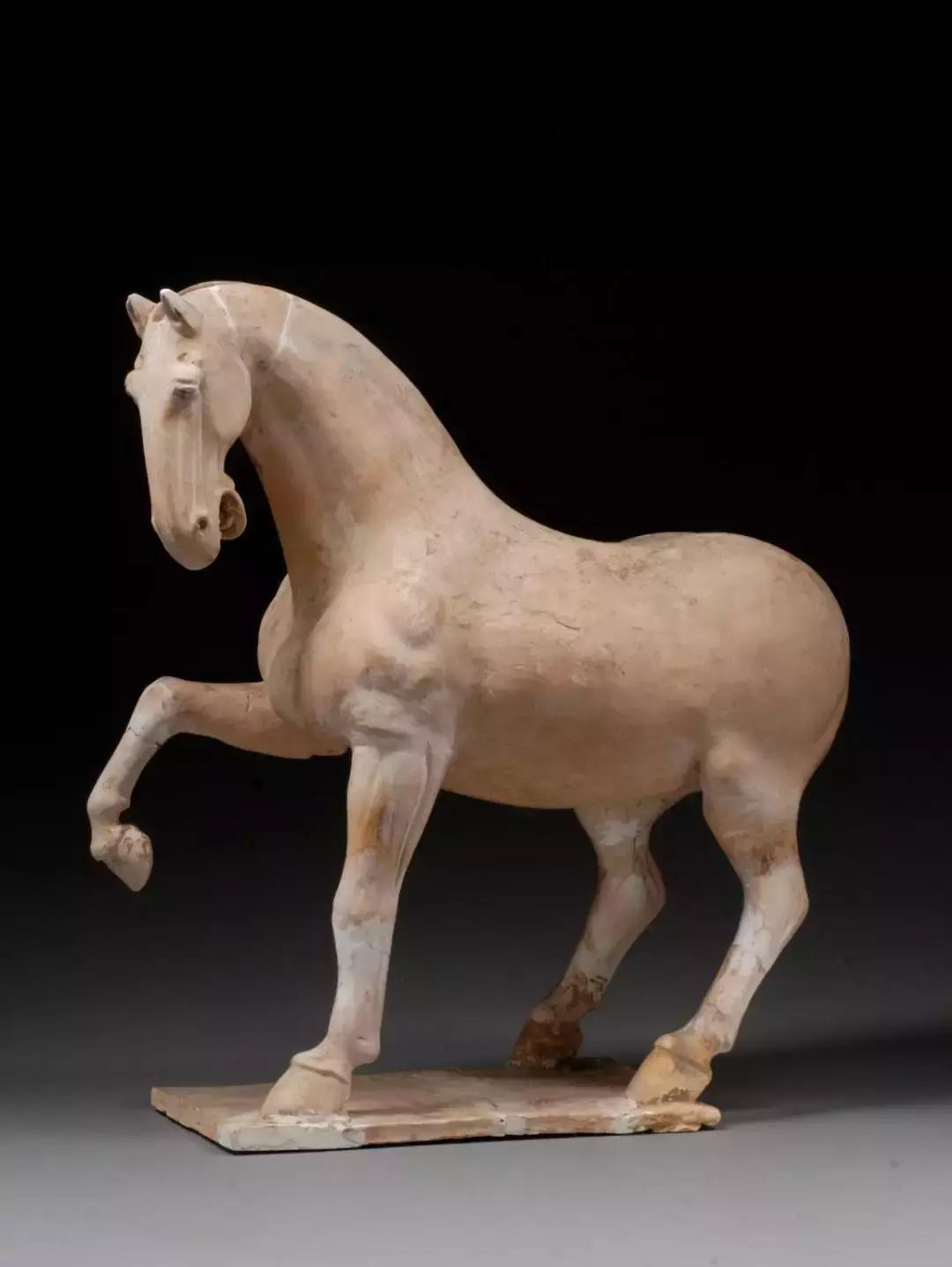 盛世繁华不负君！陕西这个千宫之宫，藏匿着辉煌大唐的稀世珍宝