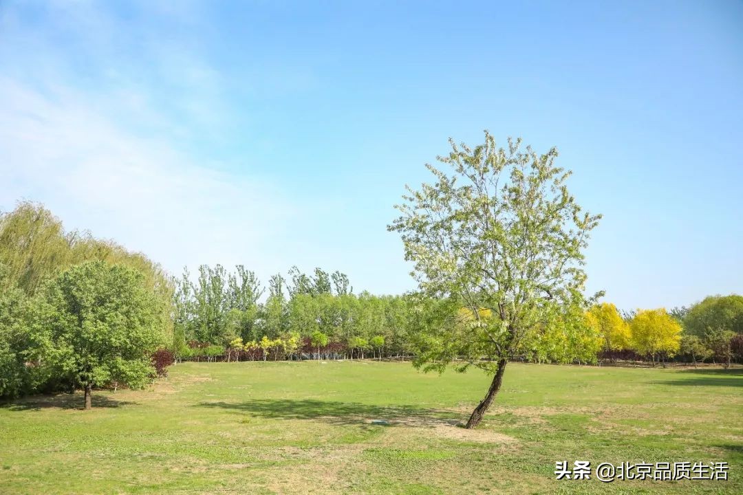 逛吃全攻略在王府井,北京周边逛吃推荐