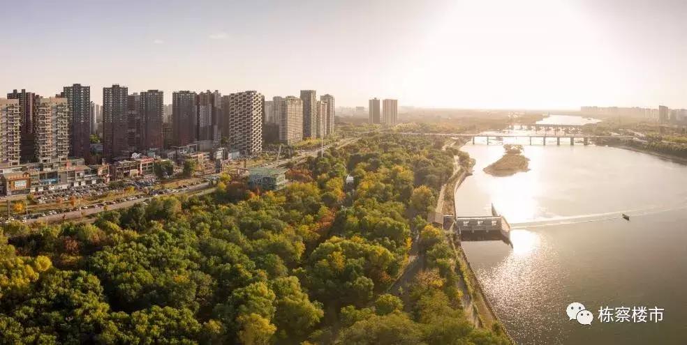 沈阳硬核板块,沈阳最新板块图