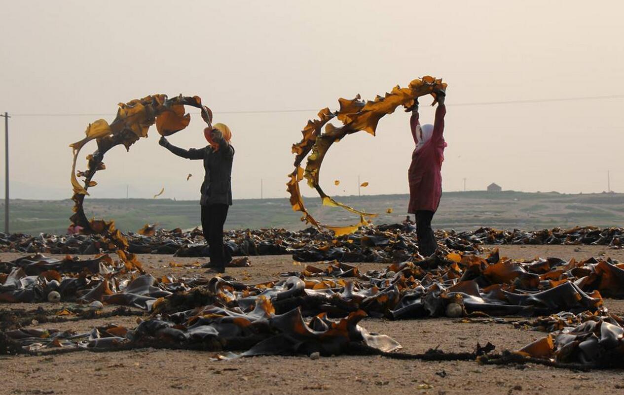 补碘高的食物,补碘元素的食物