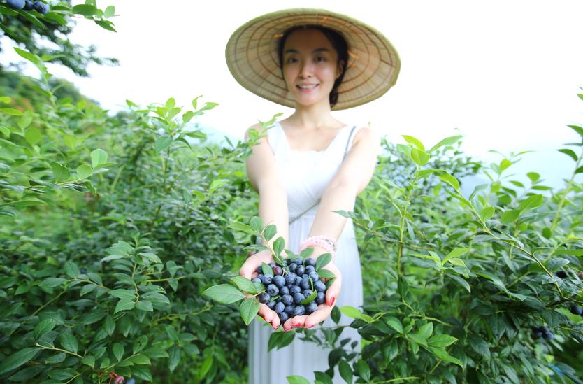 重庆之旅怎么样,重庆避暑5日游攻略从南川开始