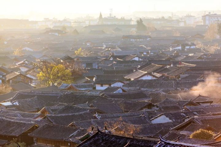 什么是云南品种,什么是云南的特色