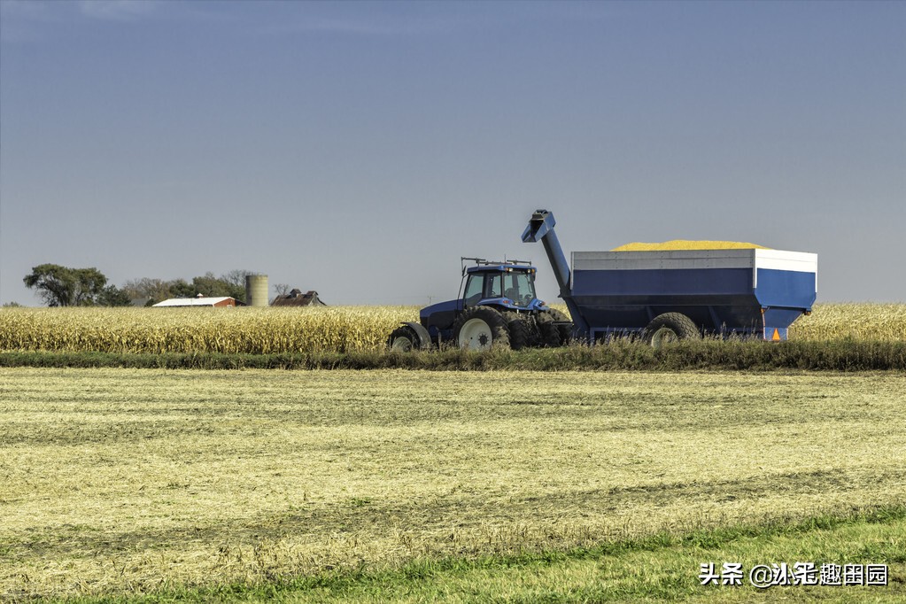 生态农业的优势及前景,生态农业发展存在的问题