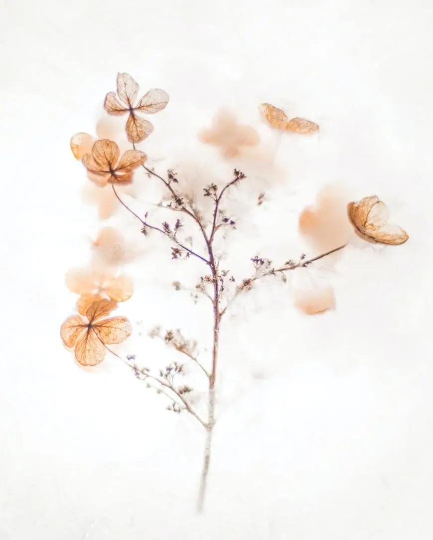 教育叙事美篇,教育叙事的优缺点