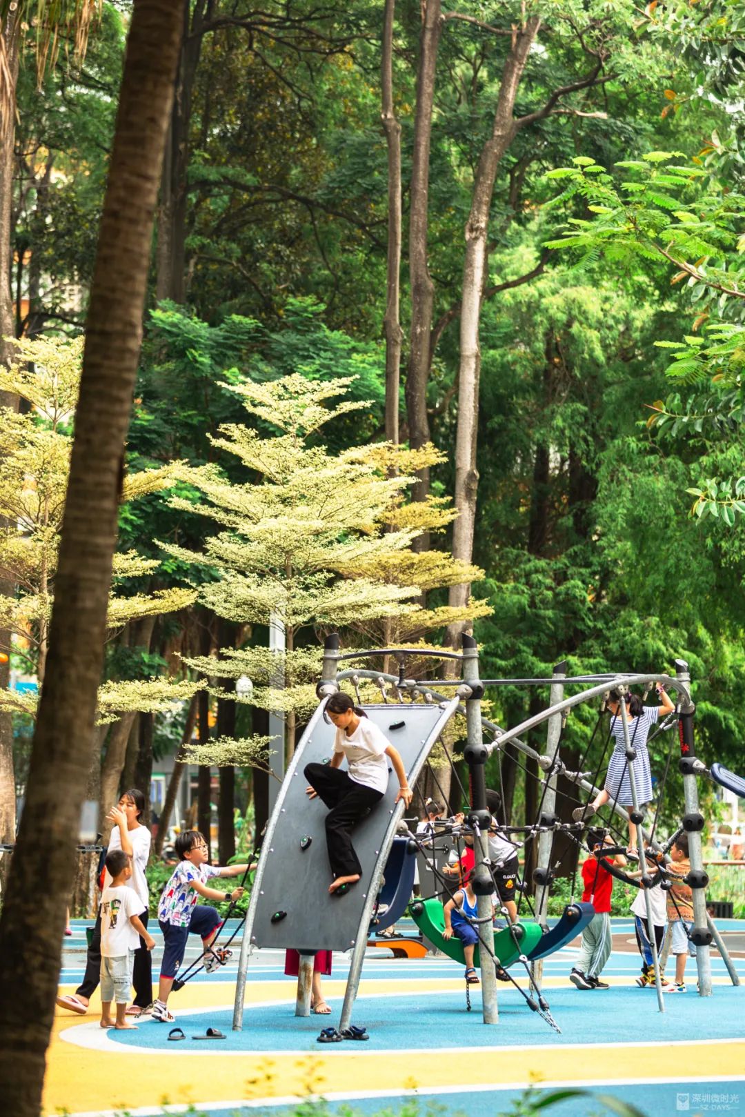 蛇口，一个住下来就不愿意再搬走的地方