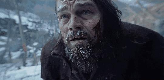 踢不烂大黄蜂,踢不烂和大黄蜂有什么区别